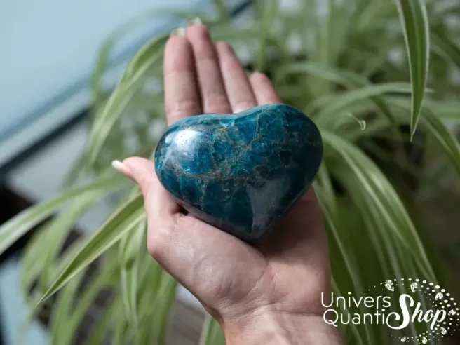 coeur apatite bleue pierre semi-précieuse numéro 10 posé dans une main