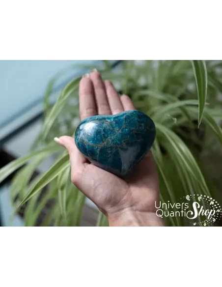 coeur apatite bleue pierre semi-précieuse numéro 10 posé dans une main