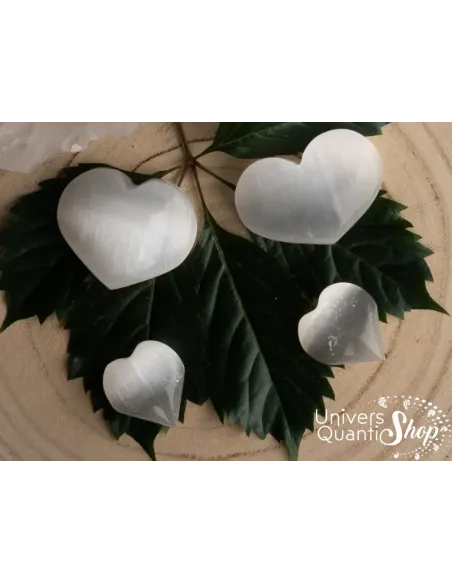 sélénite coeurs en pierres naturelles posés sur une feuille sélénite coeurs en pierres naturelles posés sur une feuille