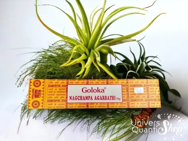 encens baton, encens naturel non toxique, goloka nagchampa fond avec une plante verte