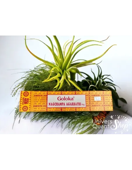 encens baton, encens naturel non toxique, goloka nagchampa fond avec une plante verte