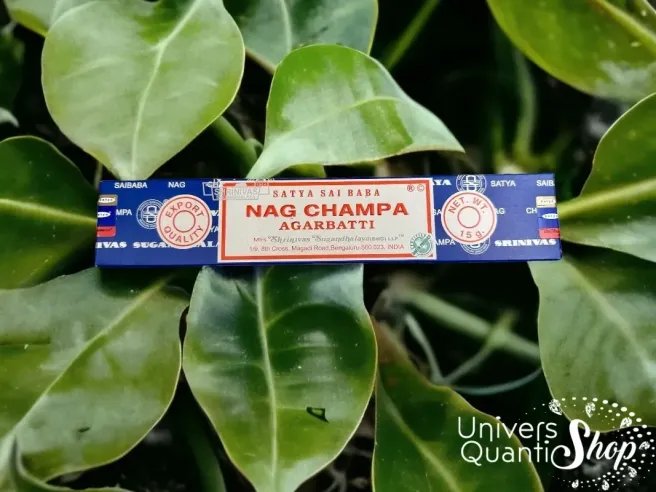 encens nag champa vertus, encens parfum sur fond plante verte hoya