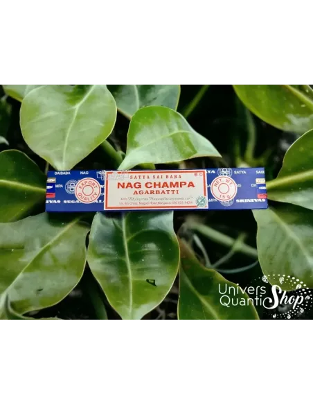 encens nag champa vertus, encens parfum sur fond plante verte hoya encens nag champa vertus, encens parfum sur fond plante verte hoya