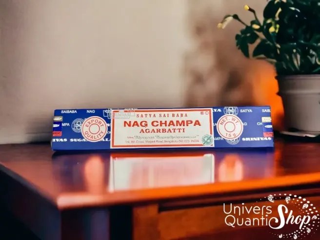 encens satya sai baba nag champa posé sur une table avec une plante