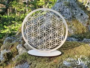 Fleur de vie en bois de bouleau sur socle vue rapprochée sur un rocher en mousse