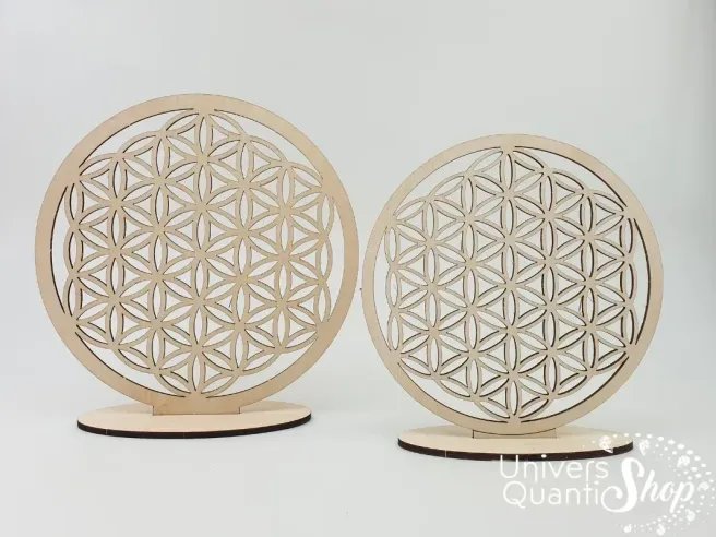 Fleurs de vie en bois naturel de bouleau, tailles 18cm et 22cm sur fond blanc