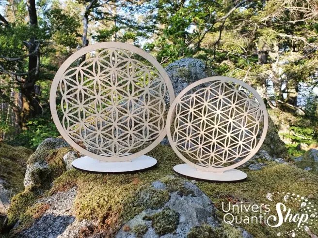 Fleurs de vie en bois de bouleau en pleine nature , 22cm et 18cm sur socle, géométrie sacrée.