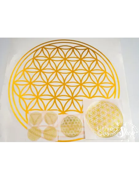 Fleurs de vie autocollantes usage unique, différentes tailles Fleurs de vie autocollantes usage unique, différentes tailles