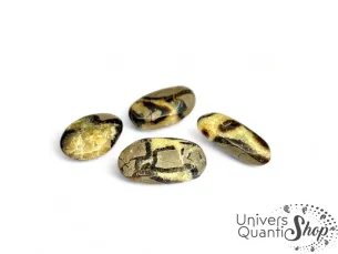 septaria de madagascar, plusieurs galets de septaria sur un fond blanc qualité A