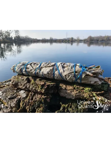 mélange aigle bleu, bâton chamanique de purification posé sur un rocher au bord de l'eau