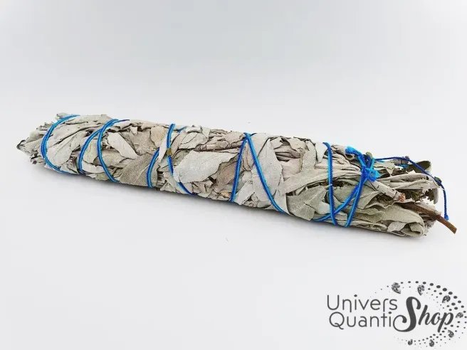 mélange d'aigle bleu grand baton chamanique sur fond blanc