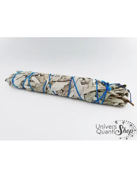 mélange d'aigle bleu grand baton chamanique sur fond blanc