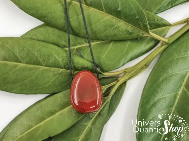 vertus du pendentif cornaline en lithothérapie posé sur des feuilles - univers quantic shop