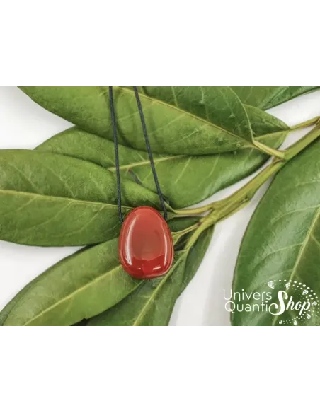 vertus du pendentif cornaline en lithothérapie posé sur des feuilles - univers quantic shop