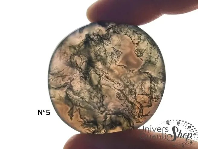 agate mousse pierre plate numéro 5 sur fond blanc