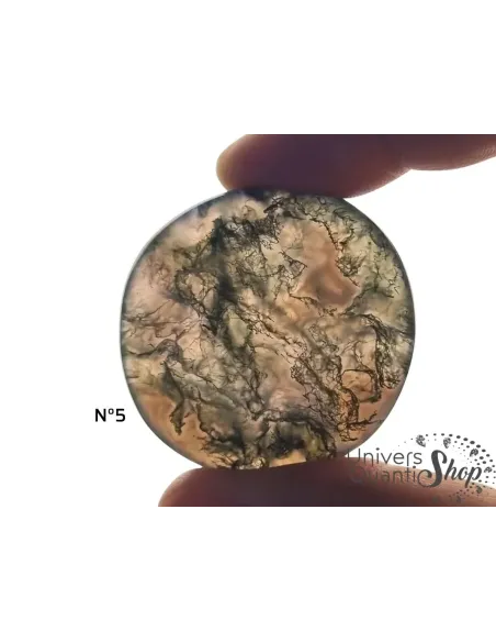 agate mousse pierre plate numéro 5 sur fond blanc agate mousse pierre plate numéro 5 sur fond blanc