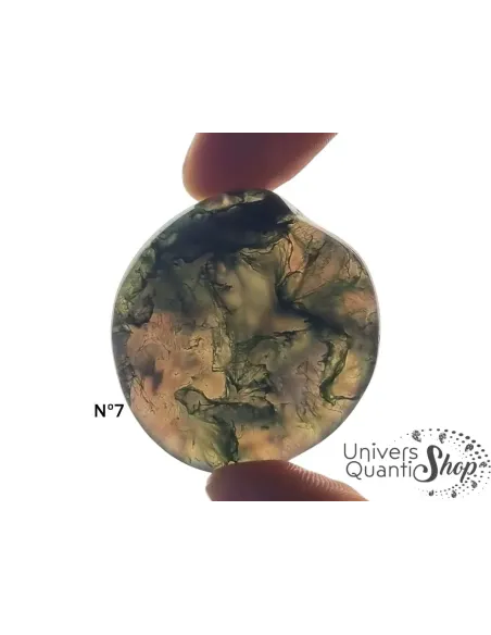 agate mousse pierre plate numéro 7 sur fond blanc agate mousse pierre plate numéro 7 sur fond blanc