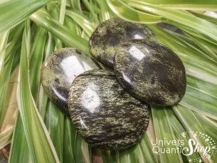 serpentine pierres plates regroupées sur des feuilles vertes