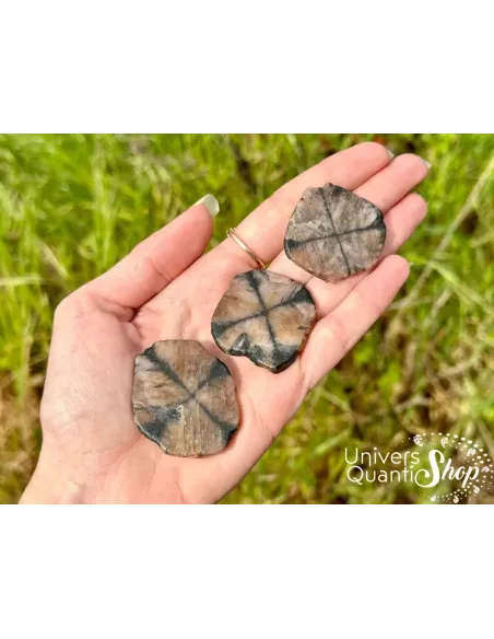 chiastolite protection pierres plates posées dans une main dans la nature