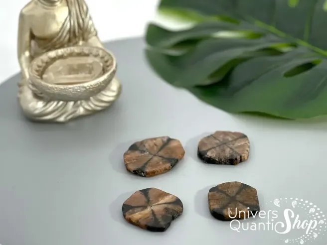 chiastolite protection pierres plates posées sur un fond gris, avec une petite statue de bouddha tenant un cristal de quartz