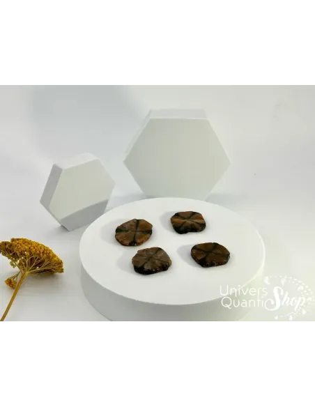 chiastolite protection, pierres plates sur un socle blanc avec une fleur jaune