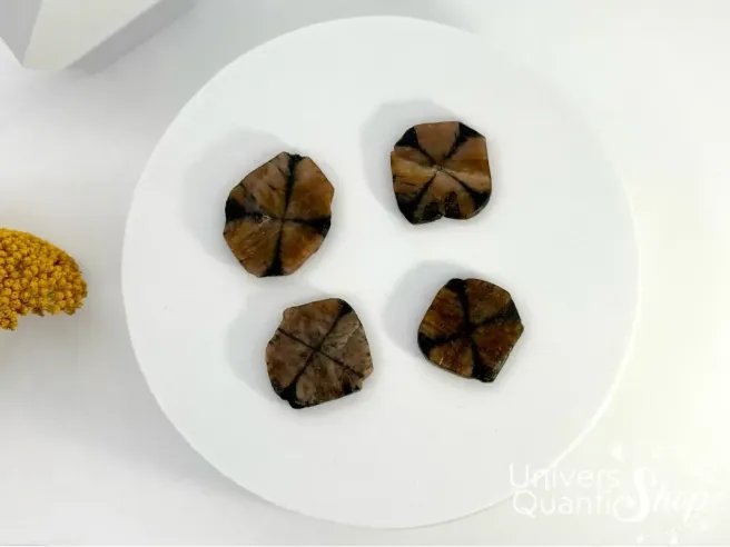 chiastolite protection, pierres plates sur un support blanc vue du dessus