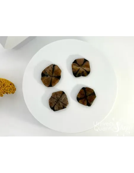 chiastolite protection, pierres plates sur un support blanc vue du dessus