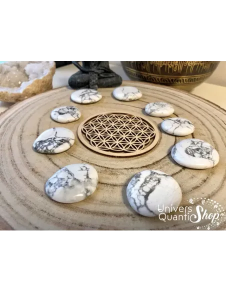 howlite pierres blanche plates sur un support en bois