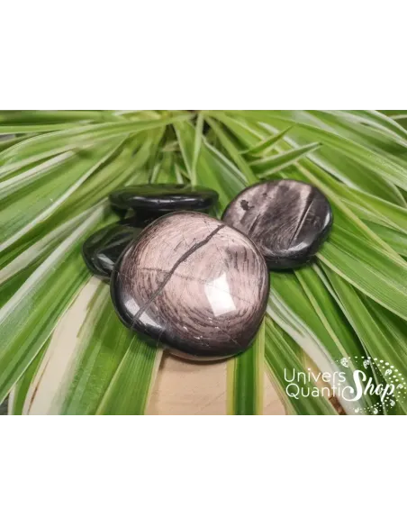 hypersthène pierre plate - boutique holistique de lithothérapie - univers quantic shop hypersthène pierre plate - boutique holistique de lithothérapie - univers quantic shop