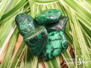 malachite pierre roulée verte de guérison en lithothérapie sur des feuilles vertes