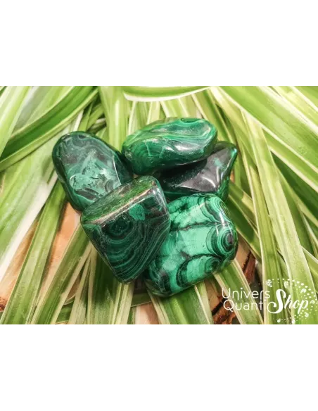 malachite pierre roulée verte de guérison en lithothérapie sur des feuilles vertes