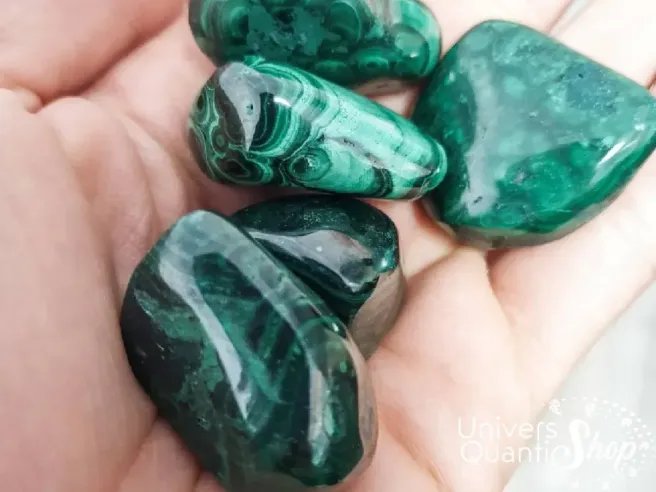 malachite pierres roulées de qualité AA posé dans une main
