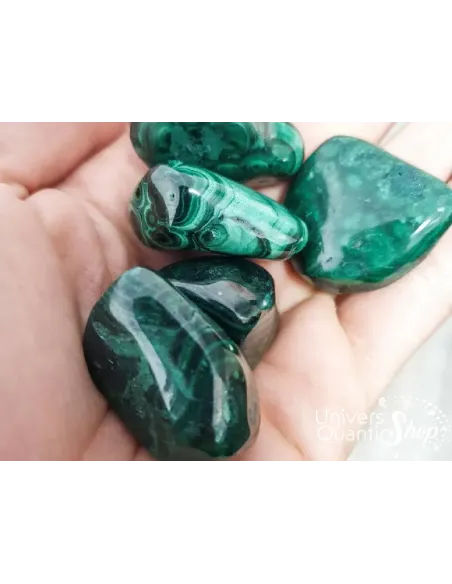 malachite pierres roulées de qualité AA posé dans une main