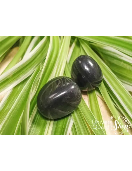 obsidienne noire protection pierre roulée sur des feuilles vertes