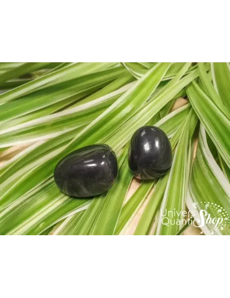 obsidienne noire protection pierres roulées lithothérapie posées sur des feuilles vertes