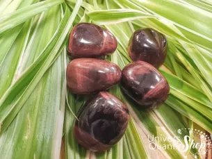 oeil de taureau pierres roulées posées sur des feuilles vertes