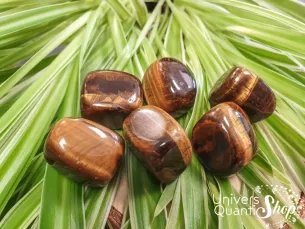 oeil de tigre pierres roulées sur des feuilles vertes - boutique de lithothérapie - univers quantic shop