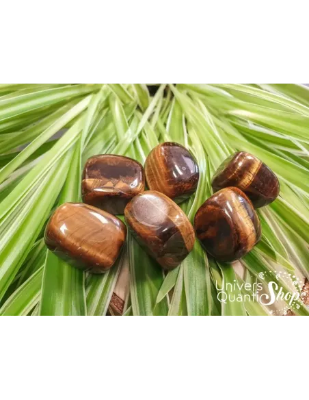 oeil de tigre pierres roulées sur des feuilles vertes - boutique de lithothérapie - univers quantic shop