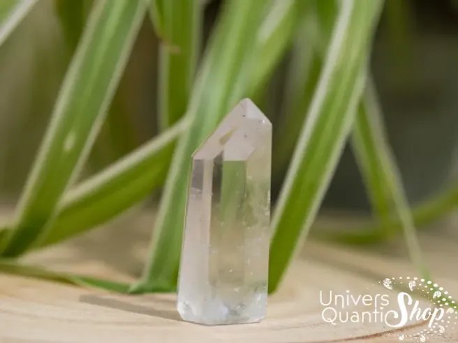 cristal de roche pointe naturelle pour amplifier les énergies posée sur un support en bois avec une plante en fond