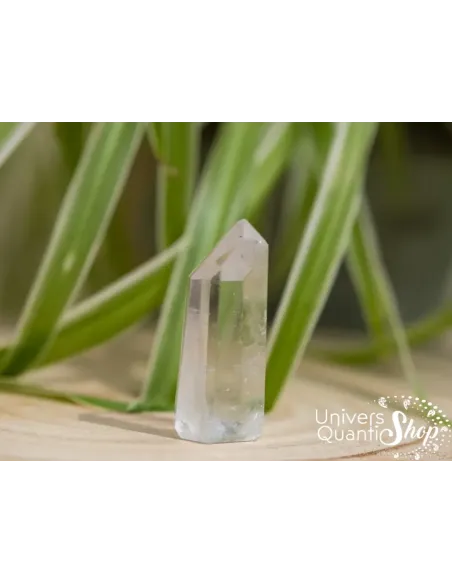 cristal de roche pointe naturelle pour amplifier les énergies posée sur un support en bois avec une plante en fond
