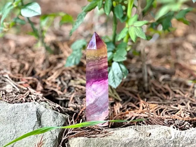 pointe fluorite multicolore numéro 1 dans la nature