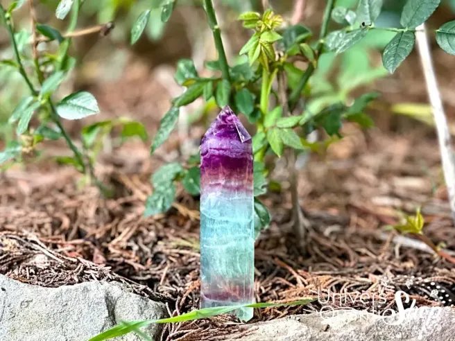 pointe fluorite multicolore pierre numéro 2 dans la nature