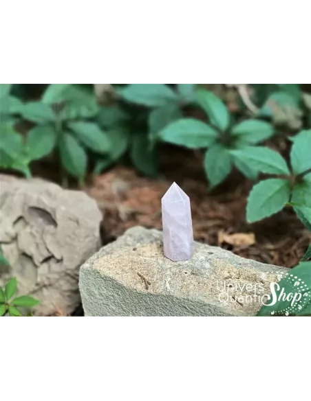 quartz rose pointe lithothérapie numéro 5 dans la nature