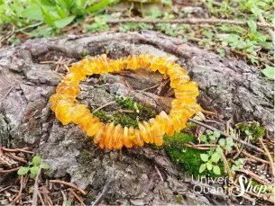 Bracelet ambre baltique jaune sur une écorce – Pierre de purification