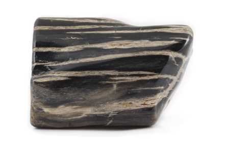 pierre bois fossile vertus