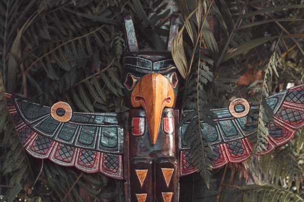 Les animaux totems, origines de la croyance.