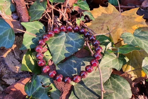 bracelet 8mm grenat rouge sur des feuilles à l'automne