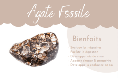 agate fossile bracelet lithothérapie bienfaits