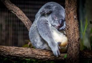 Lutter contre la fatigue nos conseils naturels